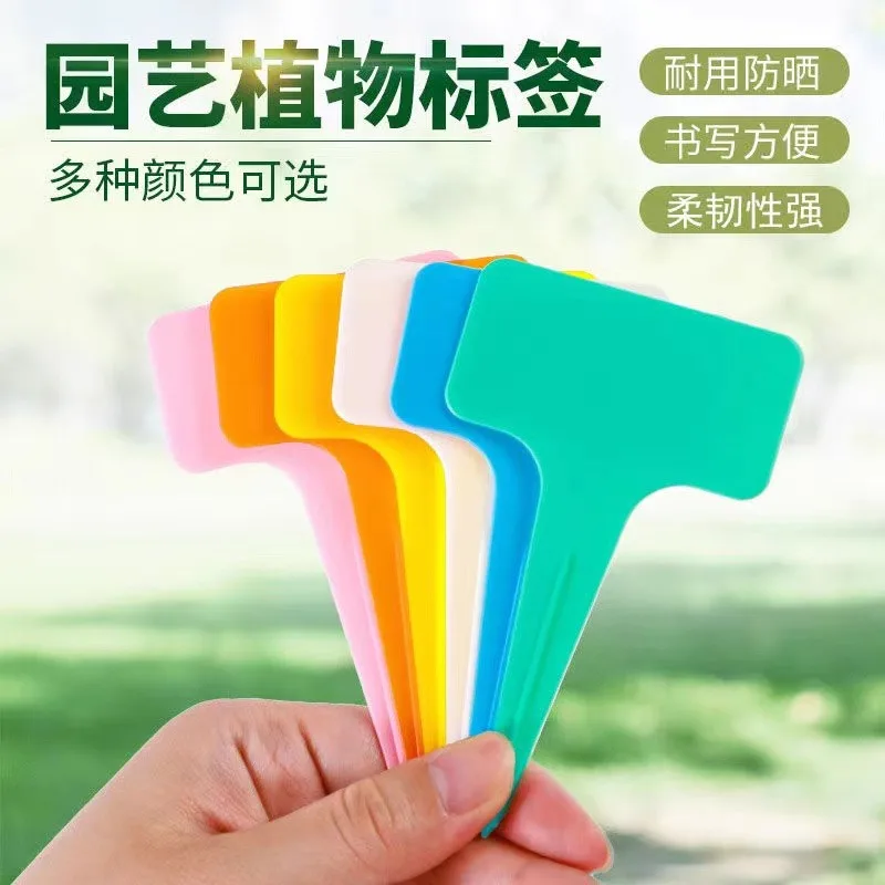 Семена semillas на заказ овощной цветок в горшке этикетка идентификационная