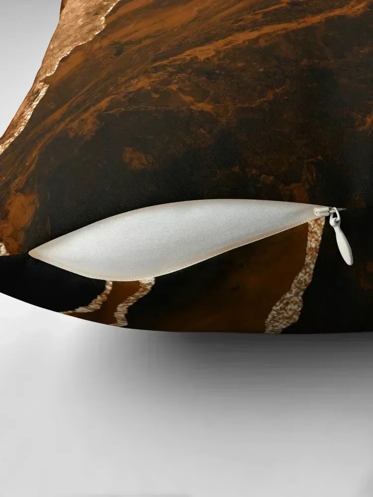 Абстрактный шоколад коричневый и золотой современный жеодный агатовый дизайн