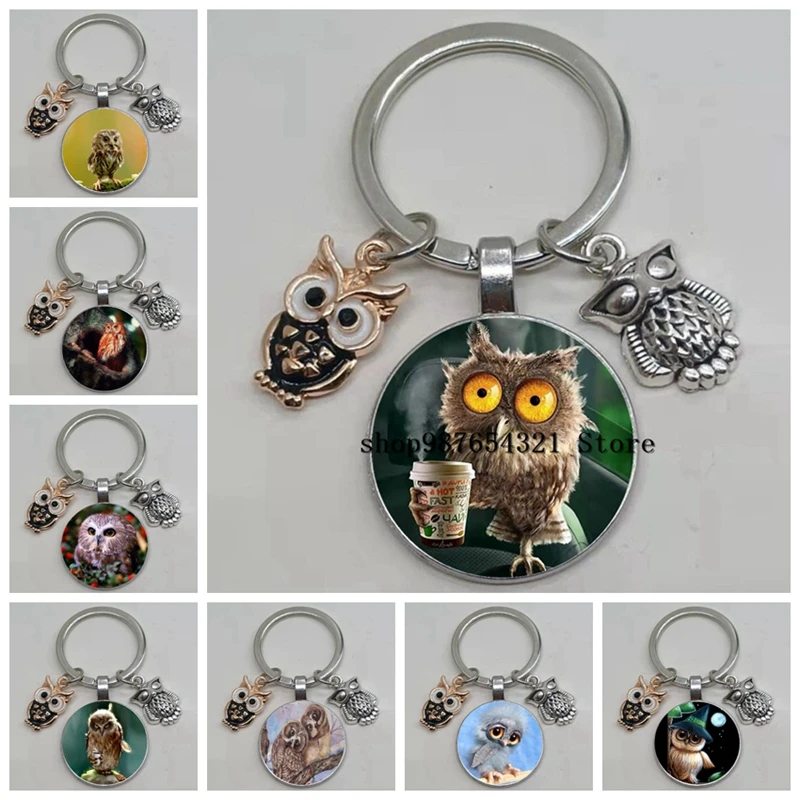 Hot sale cute owl keychain big eyes bird retro painting glass convex men and women car bag pendant jewelry | Украшения и