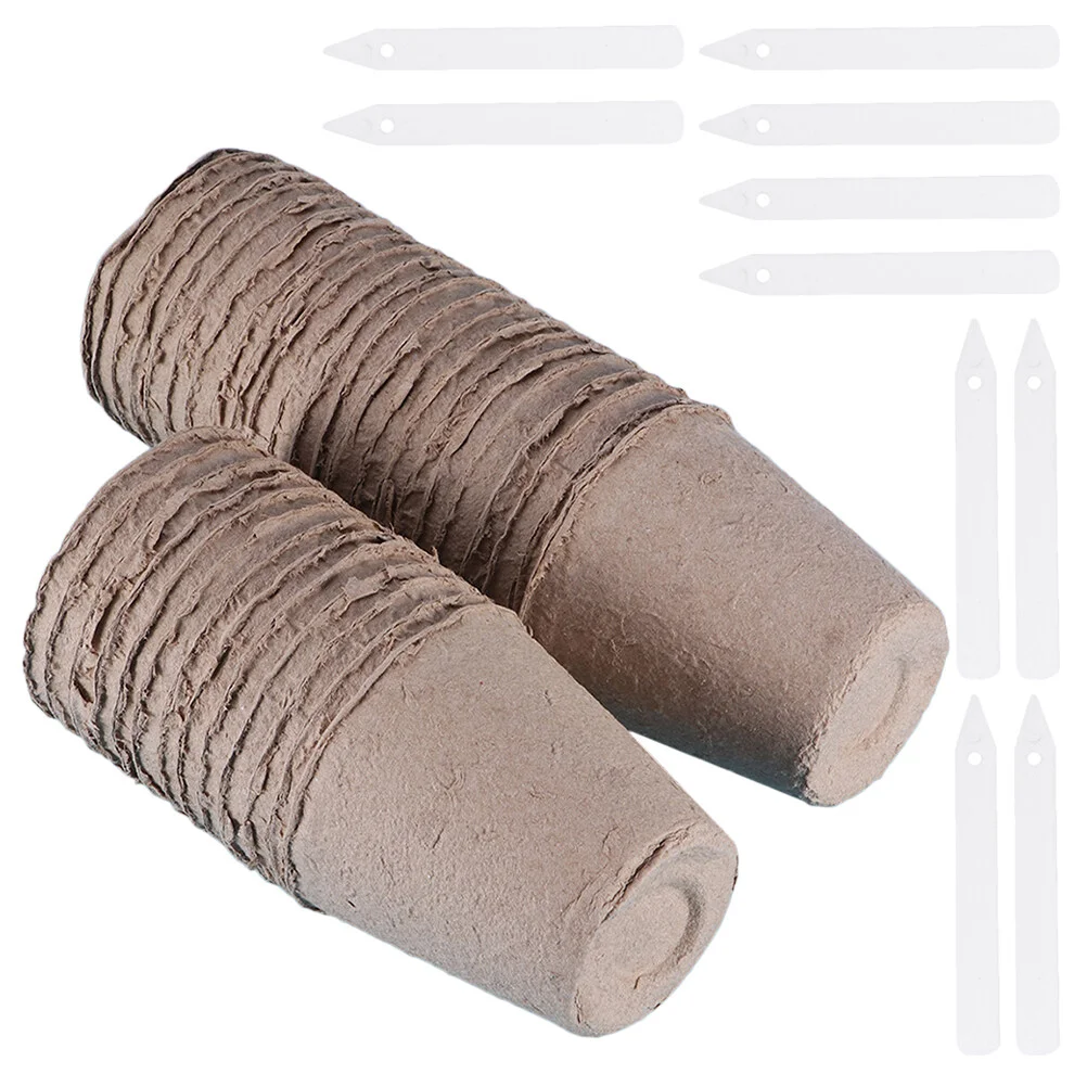 

Baby Cup Trays Container Greenhouse Grow Indoor Pots Seedlings