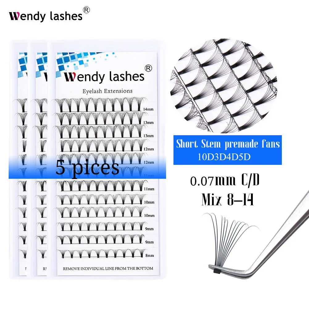 

Wendy Lash 5 PCS 3D/4D/5D10D Premade Russian Volume Fans 0.07mm C/D Mink Eyelashes Individual Lashes Eyelashes Extension