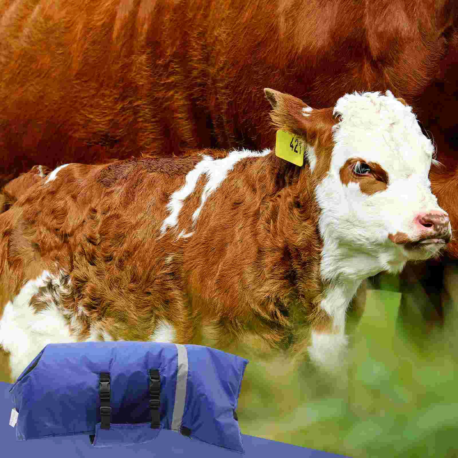 Телячий жилет зимняя одежда одеяло пальто флис шерпы водонепроницаемые