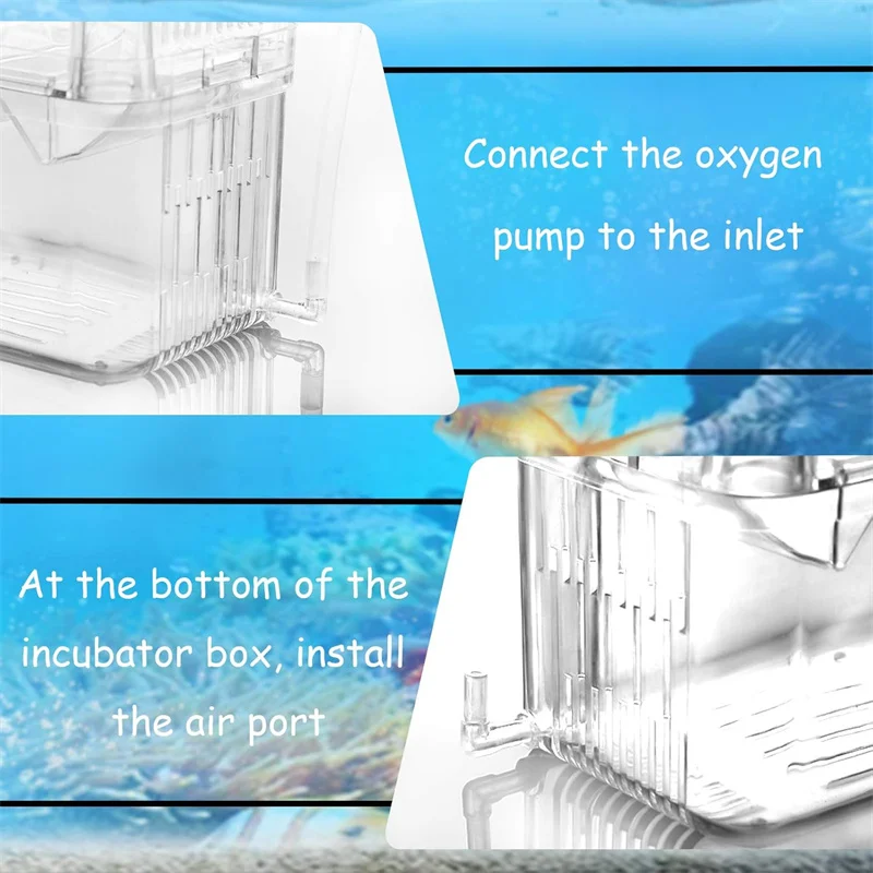 Коробка для разведения павлинов аквариум рыб акриловая изоляционная коробка