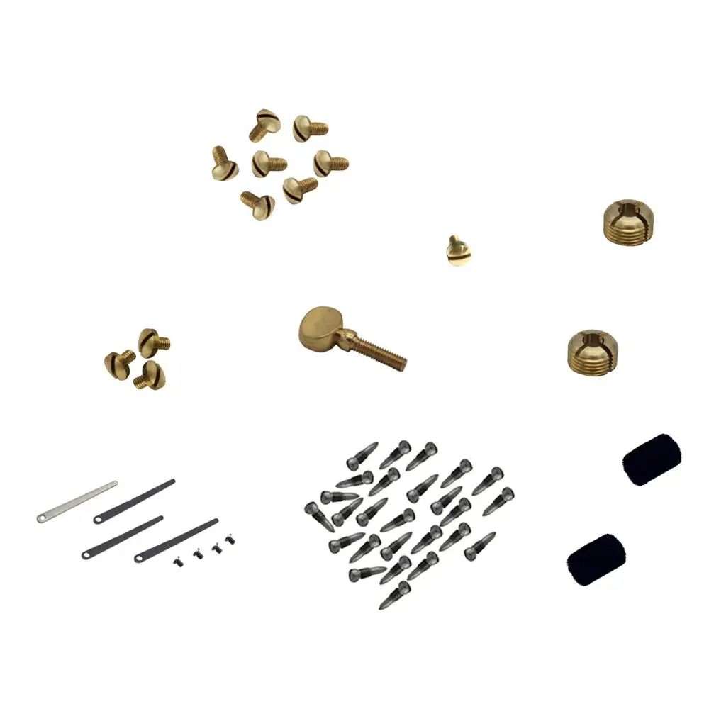 

1 Set Alto Saxophone Repair Tools Parts with Screws Sound Hole Reed DIY Accessory