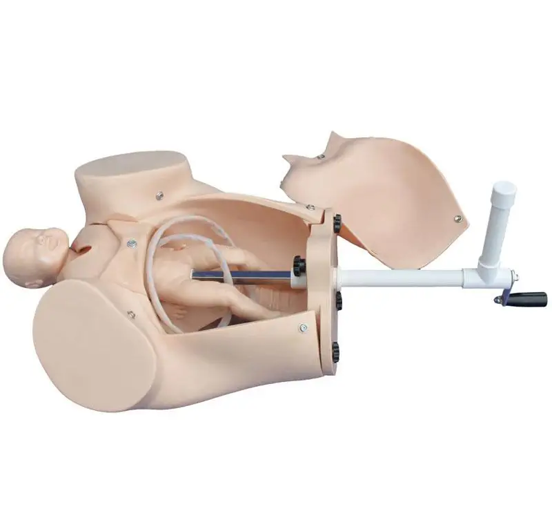 

Advanced Delivery Machine Model