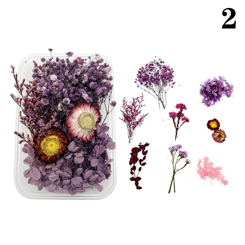 

Набор прессованных цветов для творчества