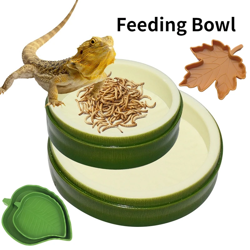 

Leaf Bamboo Joint Shallow Reptile Dish Reptile Food Dish Turtle Feeding Bowl Tortoise Food Dish for Bearded Dragon Gecko Lizard