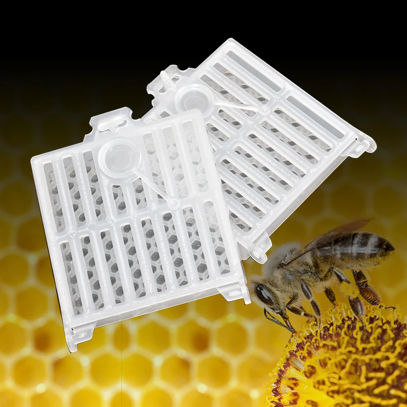 

Queen Bee Post Cage Transparent Move Transmit Mail Box Insect House Plastic Rearing Beehive Tools Beekeeping Supplies Equipment