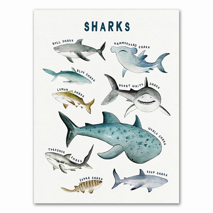 

Детская картина АлиПэинт "Динозавры, кит, акула, морские животные"