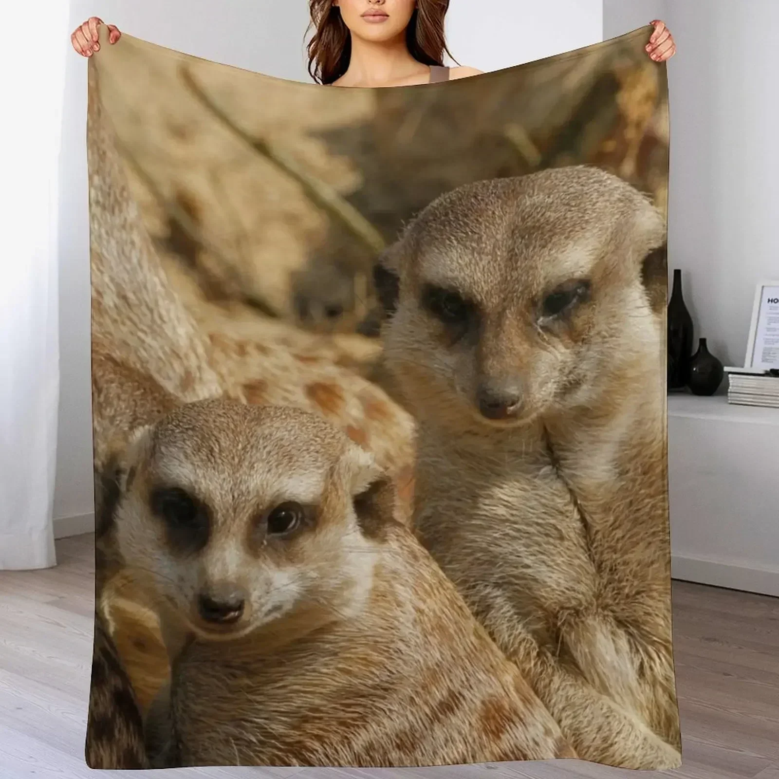 Одеяло Meerkat 399 роскошные брендовые зимние кровати одеяла для диванов