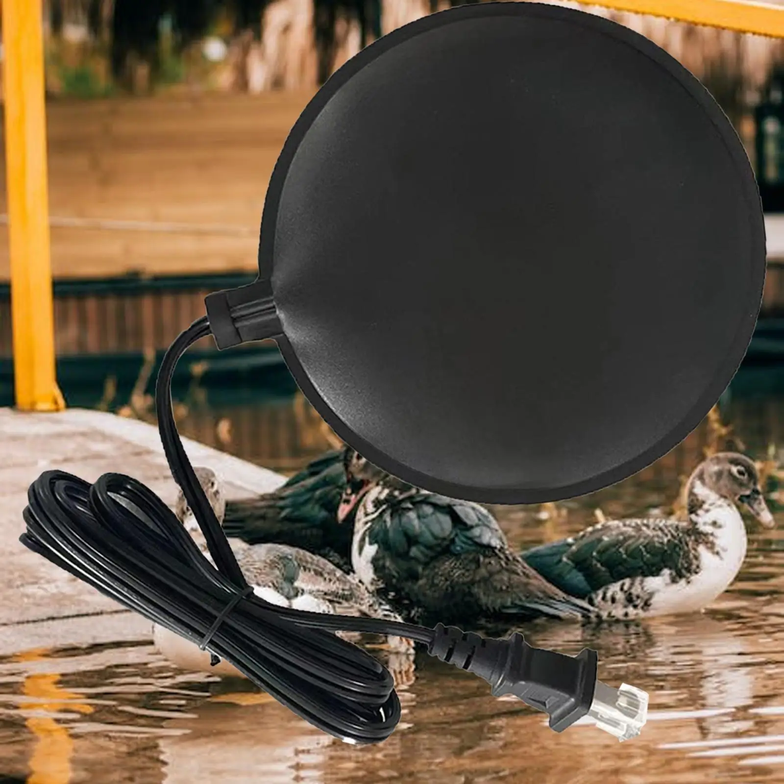 

Термостатический нагреватель для ванны с птицей, управление для ванной