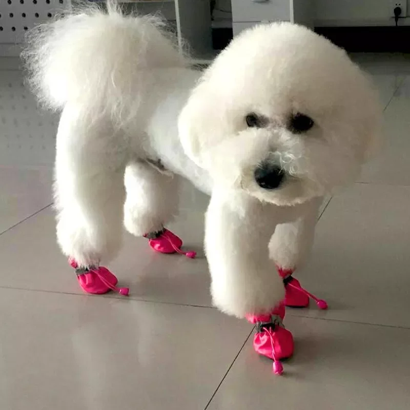 

2022Pet Dog shoes Waterproof chihuahua Anti-slip Rain Snow boots Footwear Winter Thick Warm Socks Booties For Small Cats Puppy D