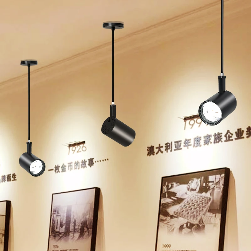 

12W 20W 30W Long Pole Telescopic Ceiling Light AC 220V-240V Clothes Shop Art Gallery Surface Mount LED Spot light Track Lamp