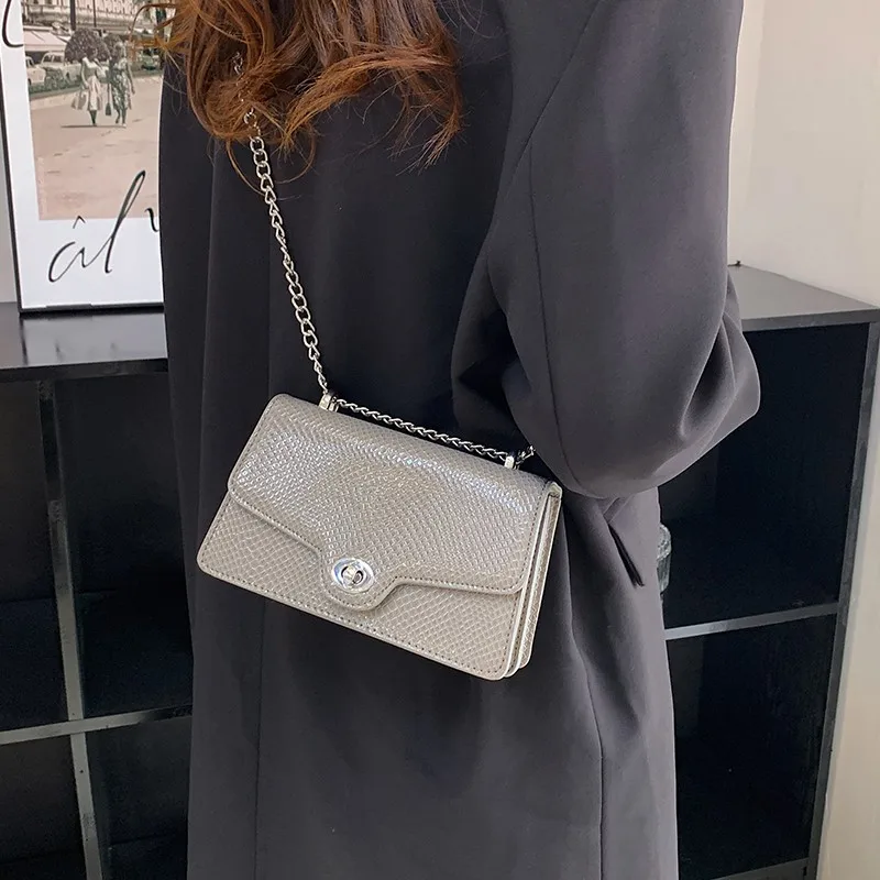 2023 Textured Chain Shoulder Bags Serpentine Pattern Messenger Bags Designer Lock Small Flap Handbags And Purses For Women Mujer