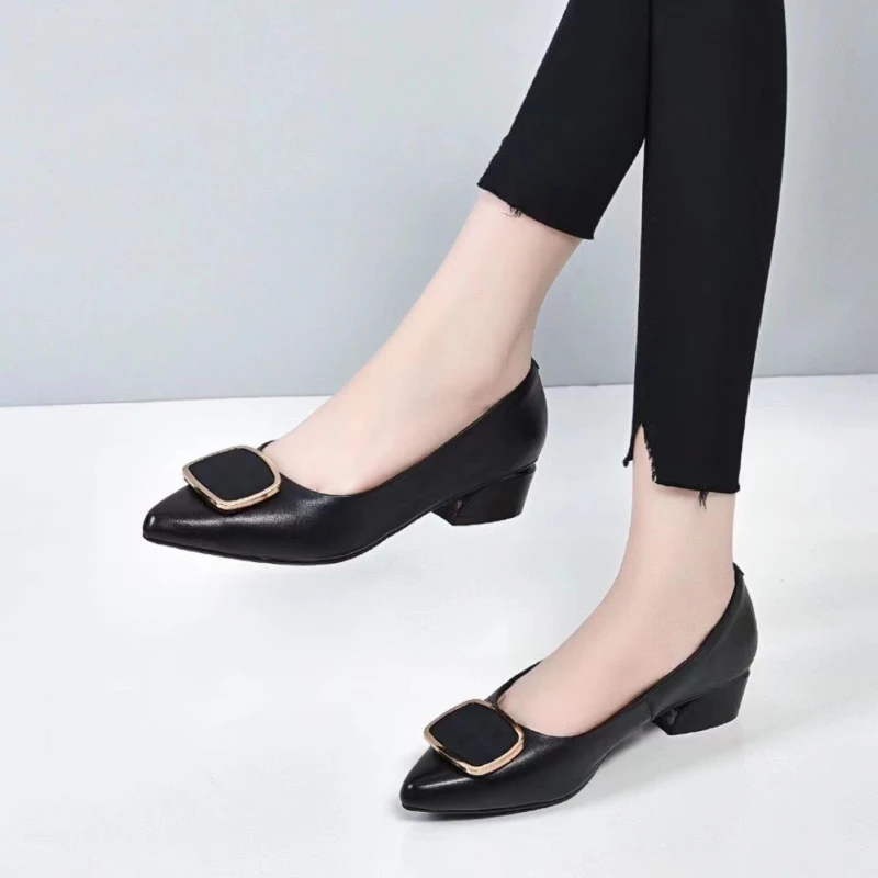 

Women Chunky Heels Shoes 2023 Spring Metal Buckle Square Toe Low Heeled Women Shoes Vintage Dress Woman Pumps Pointed Toe Shoes