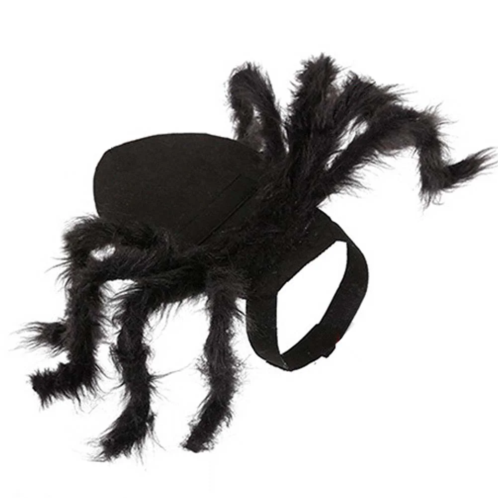 

Cat Spider Costumes- Party Spider Costume Outfits