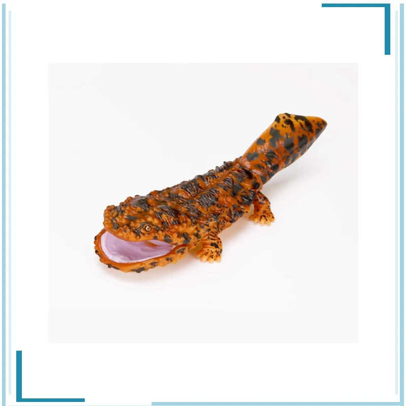 BANDAI Ambystoma Мексиканская биология иллюстрация цинопс китайский гигант Саламандра