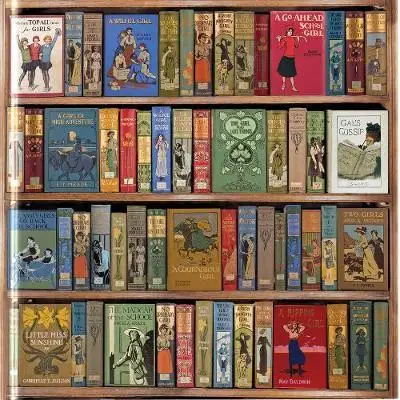 

Семейная бодлейская Библиотека: книжные полки High Jinks: пазлы из 1000 деталей