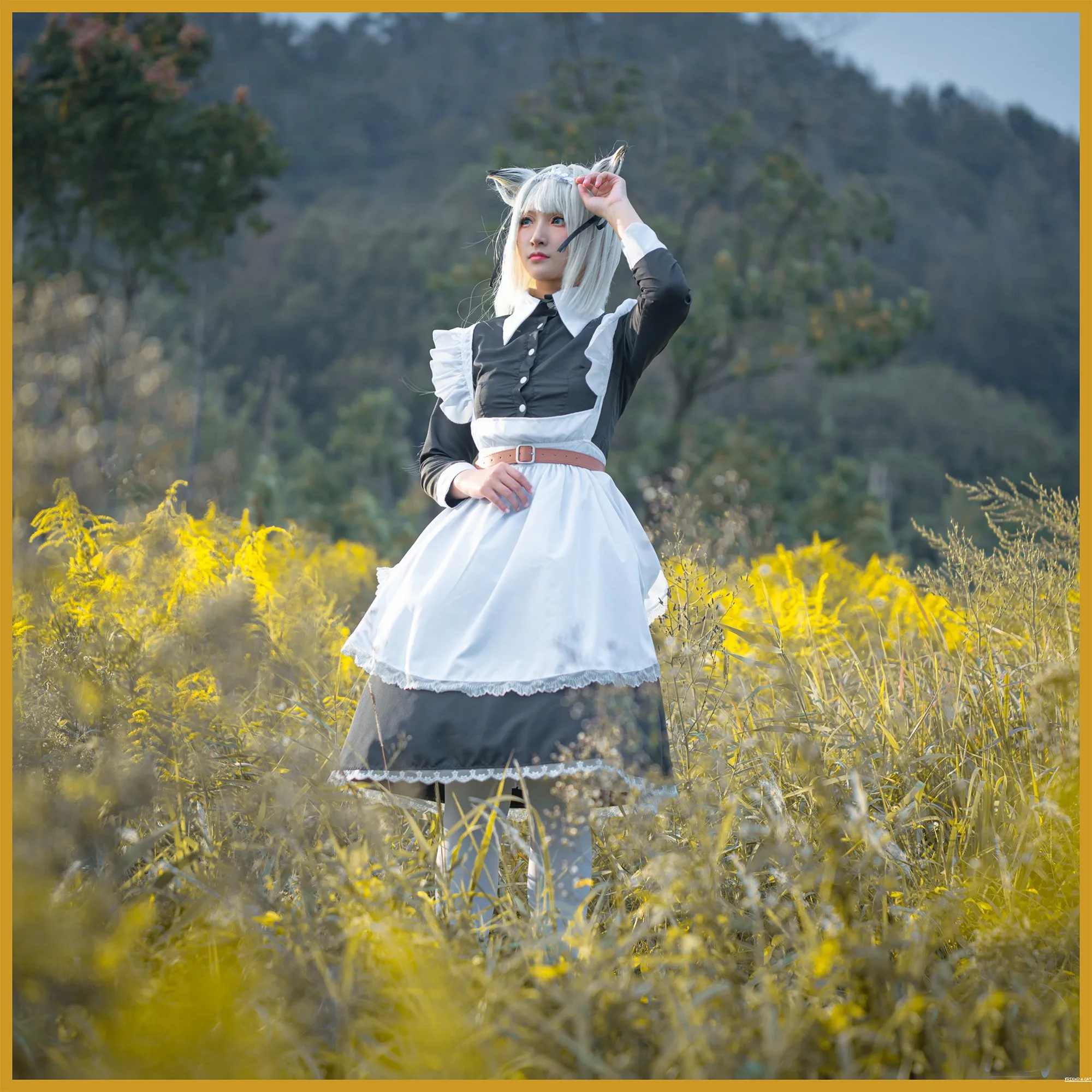 

Лидер продаж, косплей-костюм аррыцари калтсит, великолепное милое платье горничной, женское платье для вечеринки на Хэллоуин