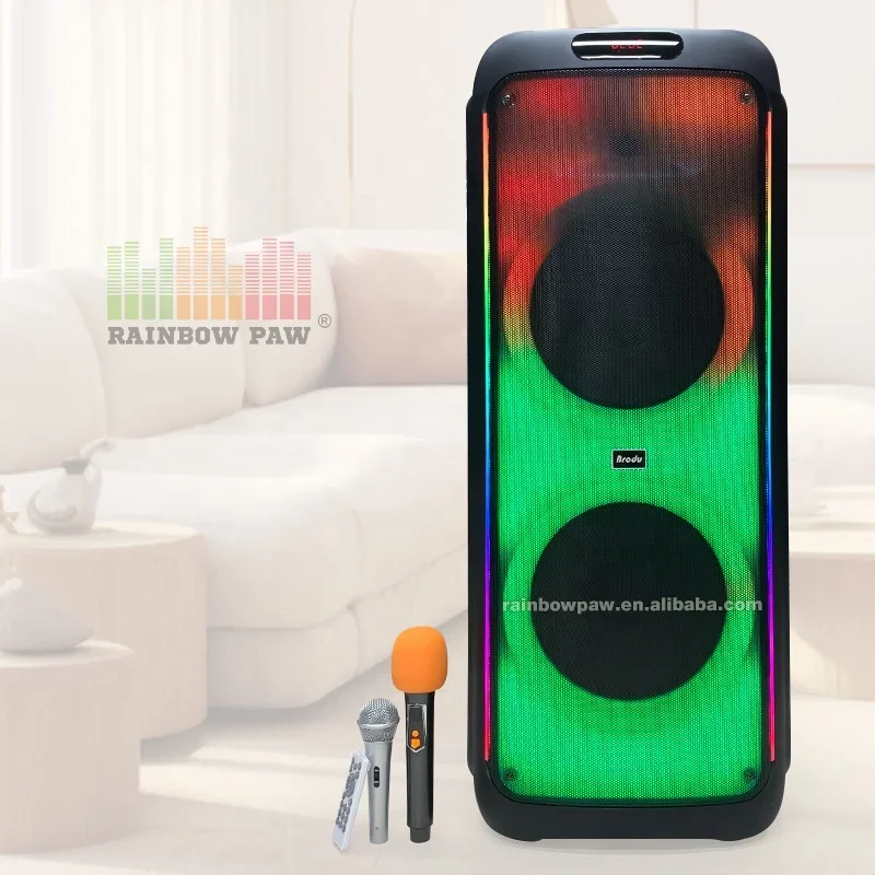 Двойной 12-дюймовый караоке bt-динамик освещение для диджея usb-динамик с