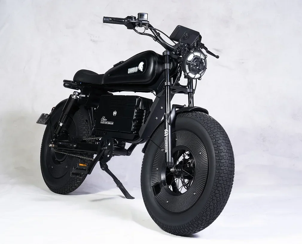 Мотоциклы черные 1500 Вт 48 в 60 ач электровелосипед для взрослых дорожный