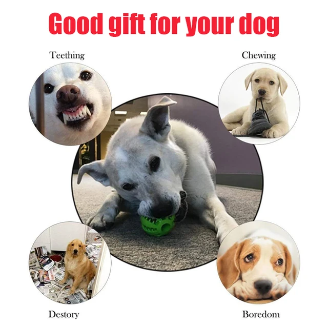 Natural Rubber Pet Dog Toys Dog Chew Toys Tooth Cleaning Treat Ball Extra-tough Interactive Elasticity Ball for Pet Accessories 4