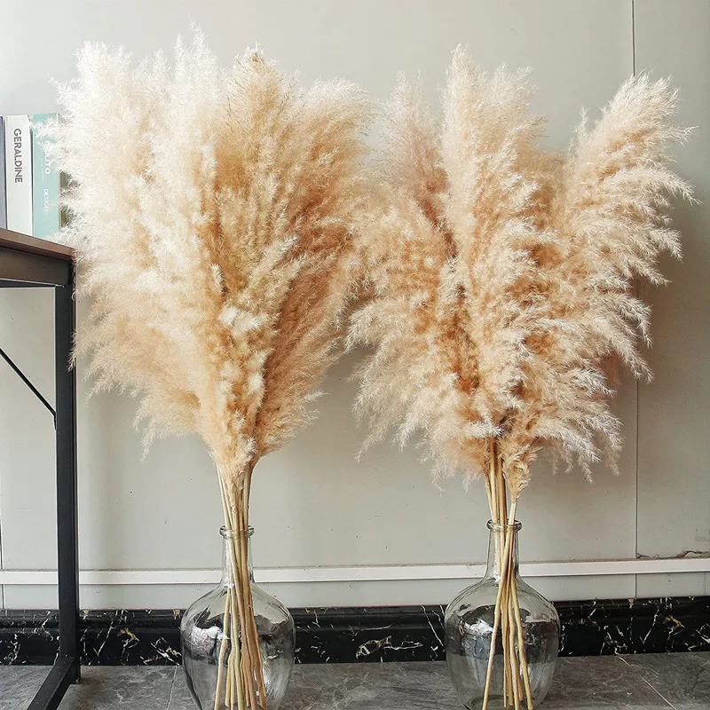 

Fluffy 80cm Large Pampas Grass For Wedding Decoration