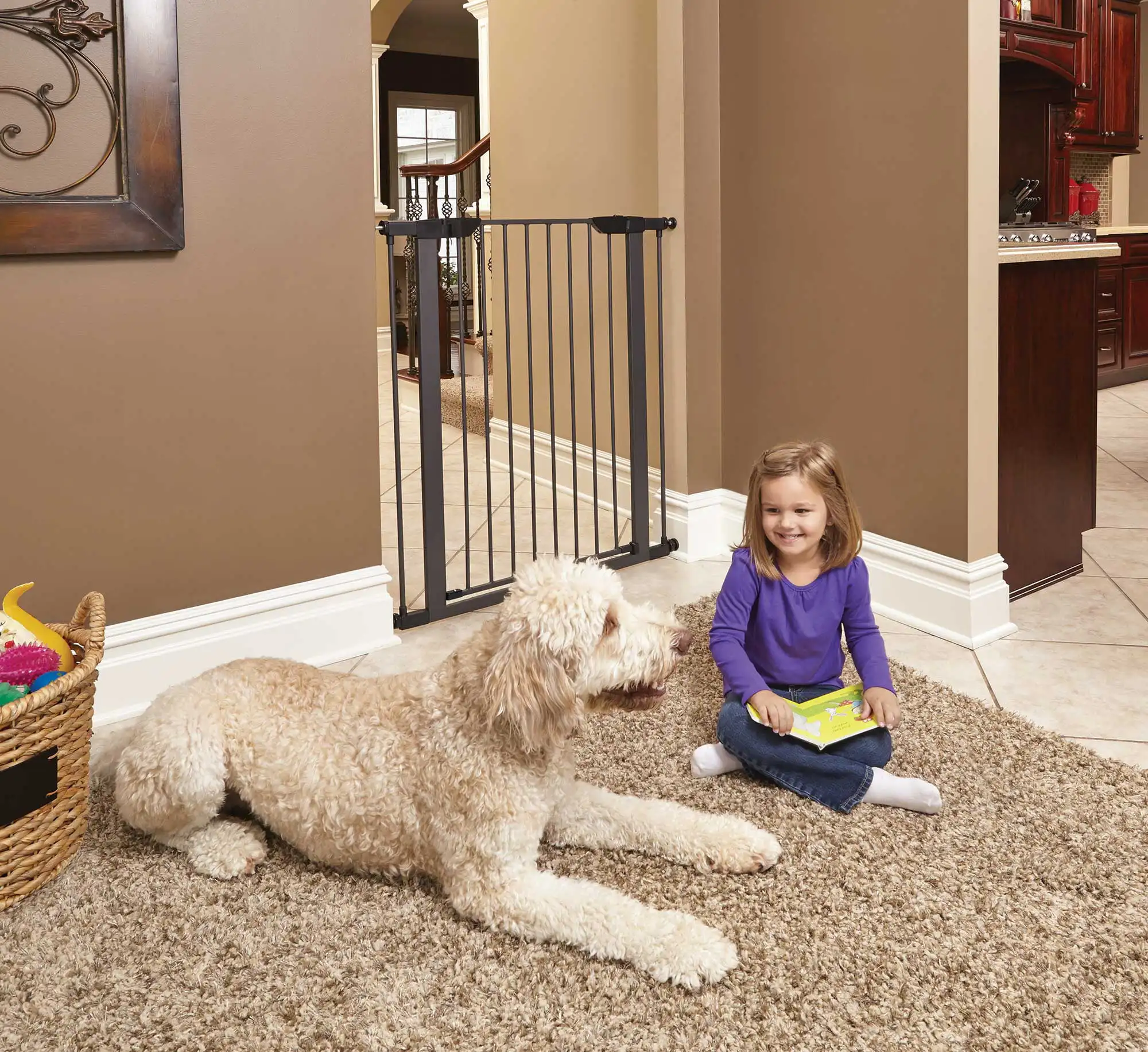 

Midwest Graphite Steel Dog Pet Gate Expands from 29" to 38"L, 39"H