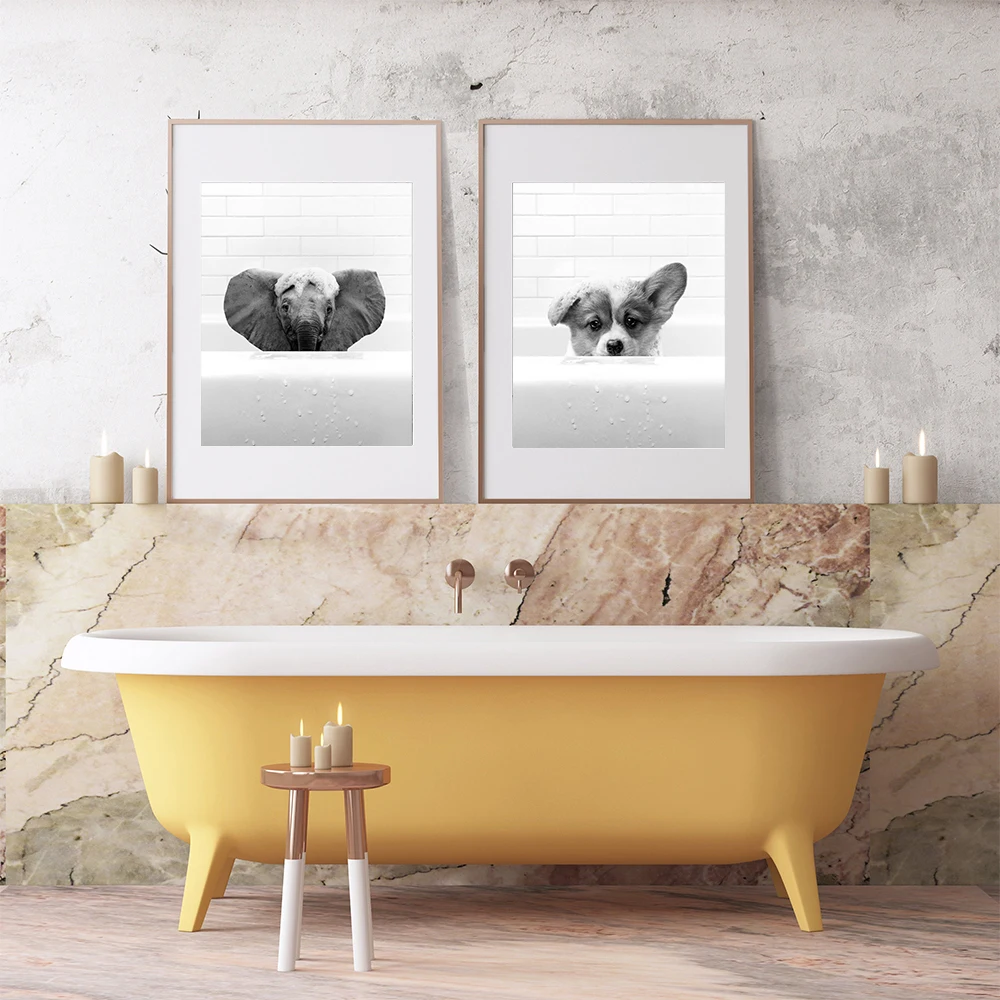 Животные слон кошка собака обезьяна примите ванну искусство на стене Картина