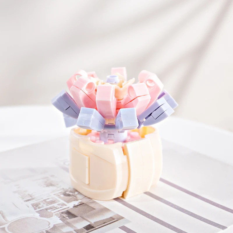 Звездный цветок строительные блоки суккуленты растения в горшке милые комнатные