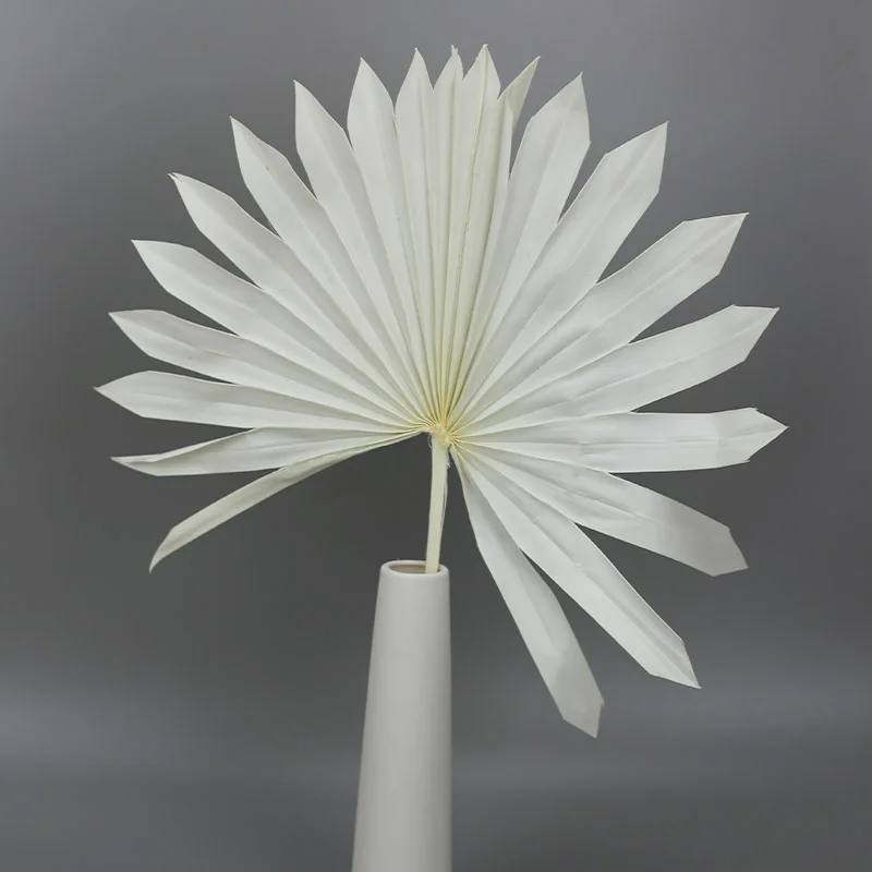 Натуральные сушеные цветы веер кошачий хвост растения Подсолнух Пальмовые