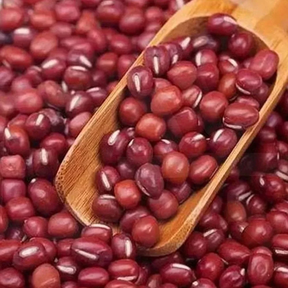 3 шт. мини-ложка для соли