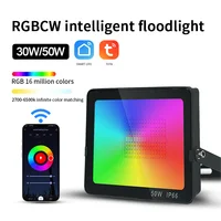 Smart WIFI+Bluetooth RGBCW New APP Flood Light Colorful Garden Atmosphere 30W 50W Waterproof Highlight LED Flood Light