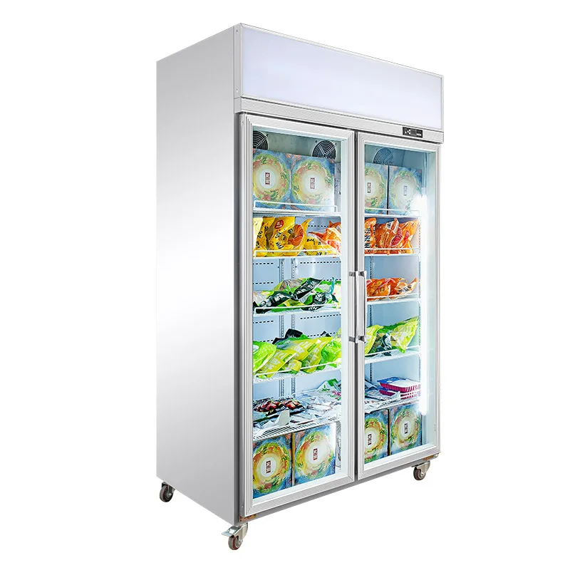 Рисунок 3 - Фотоморозильная камера со стеклянной