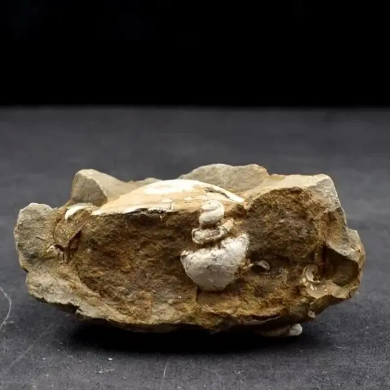 1Pcs A Natural Mineral Standard Strange Stone Original Stone Natural Ornamental Stone Line Stone Farmers From Pick From