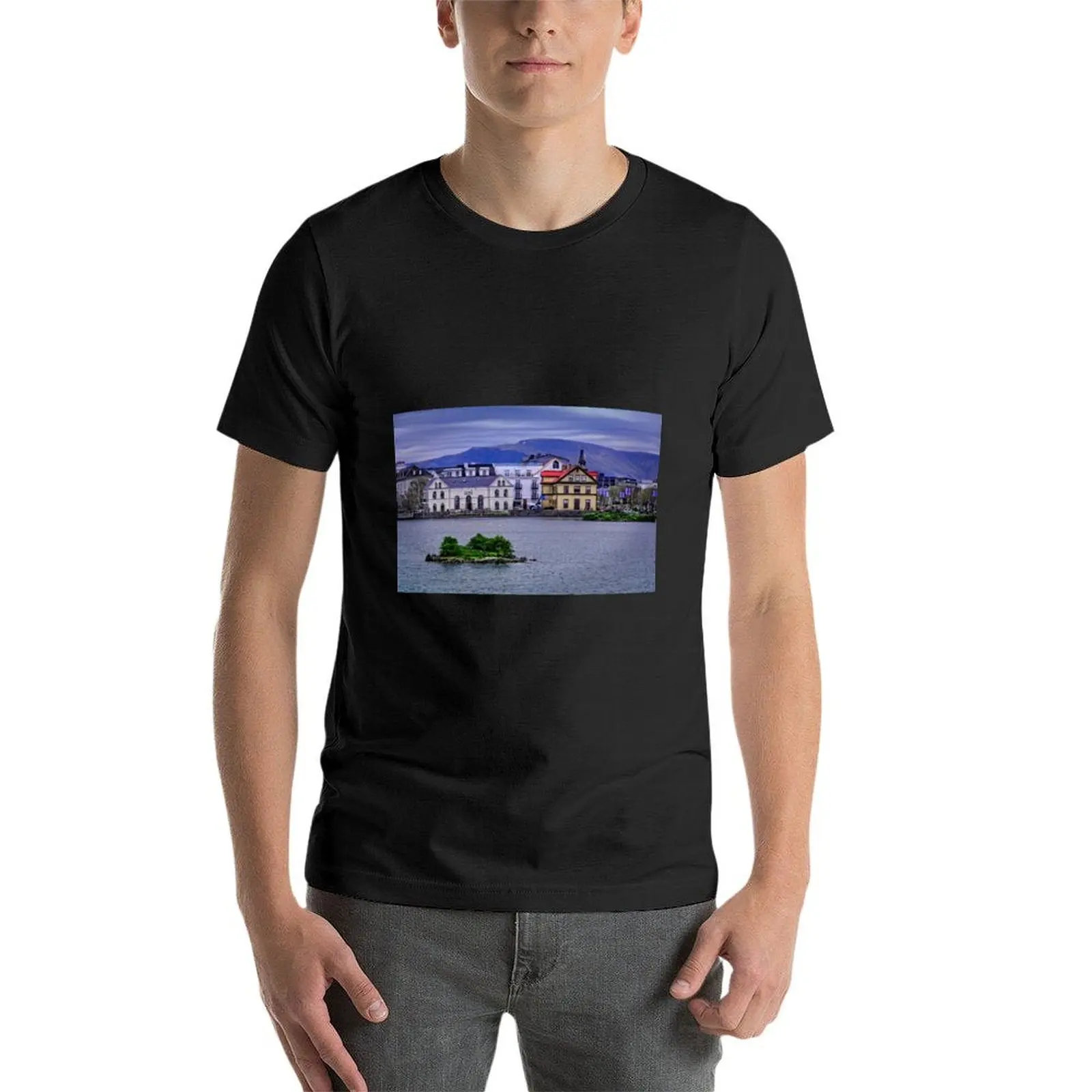 Футболка из города Рейкьявика эстетическая одежда быстросохнущие мужские