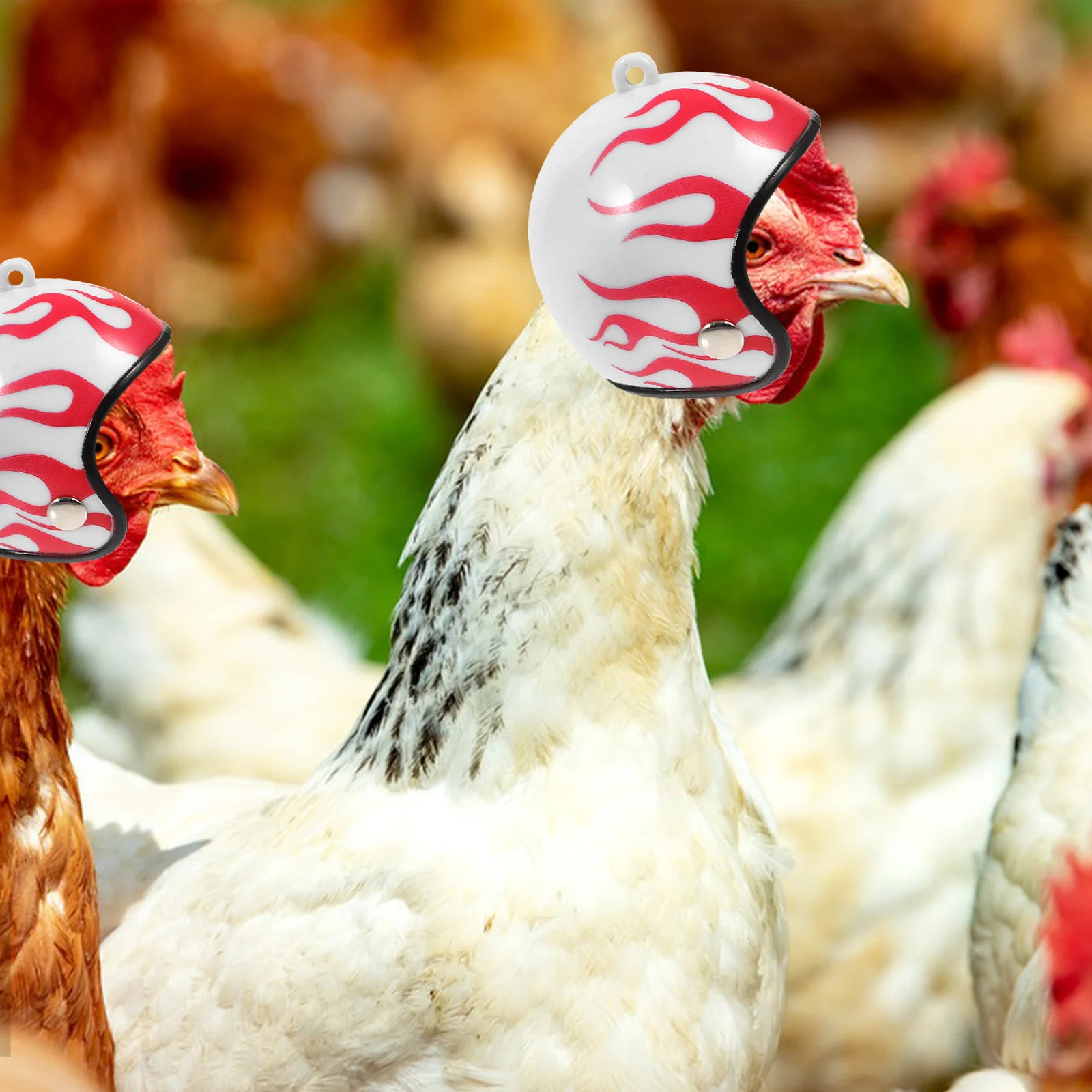 4-шт петух шляпа забавный попугай домашнее животное курица птица безопасность