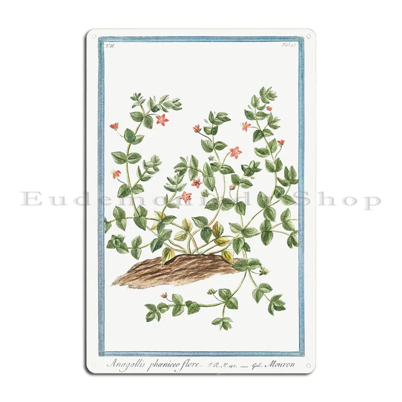 Anagallis Arvensis фотографический металлический знак ржавый Ретро паб дизайнерский