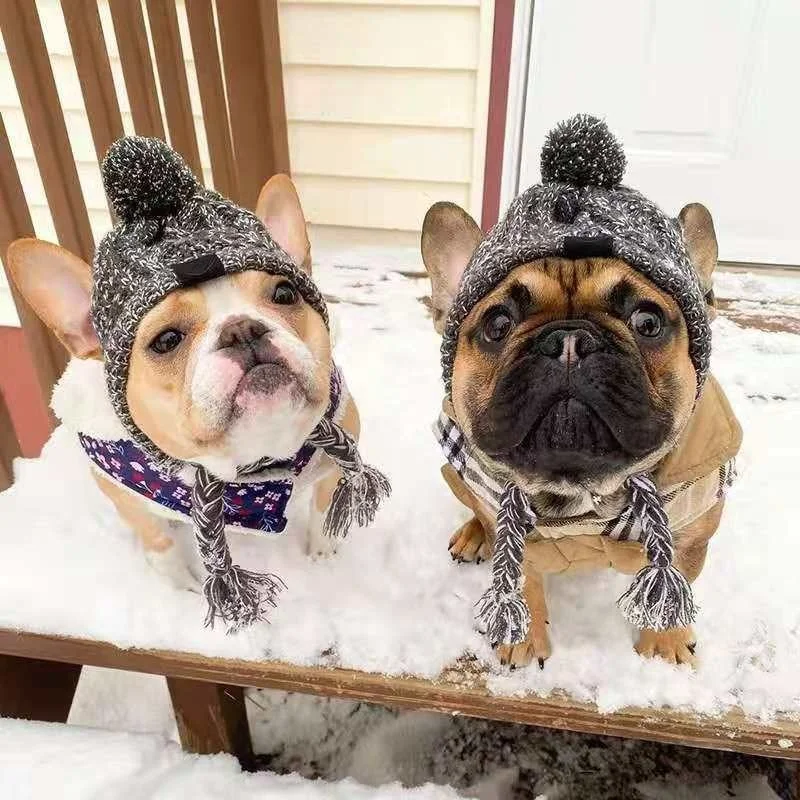 

winter woolen knitting Hat for Dogs cat Pet cat Puppy Knitted Hat with braid Windproof warm Outdoor Baseball Cap pet Accessories