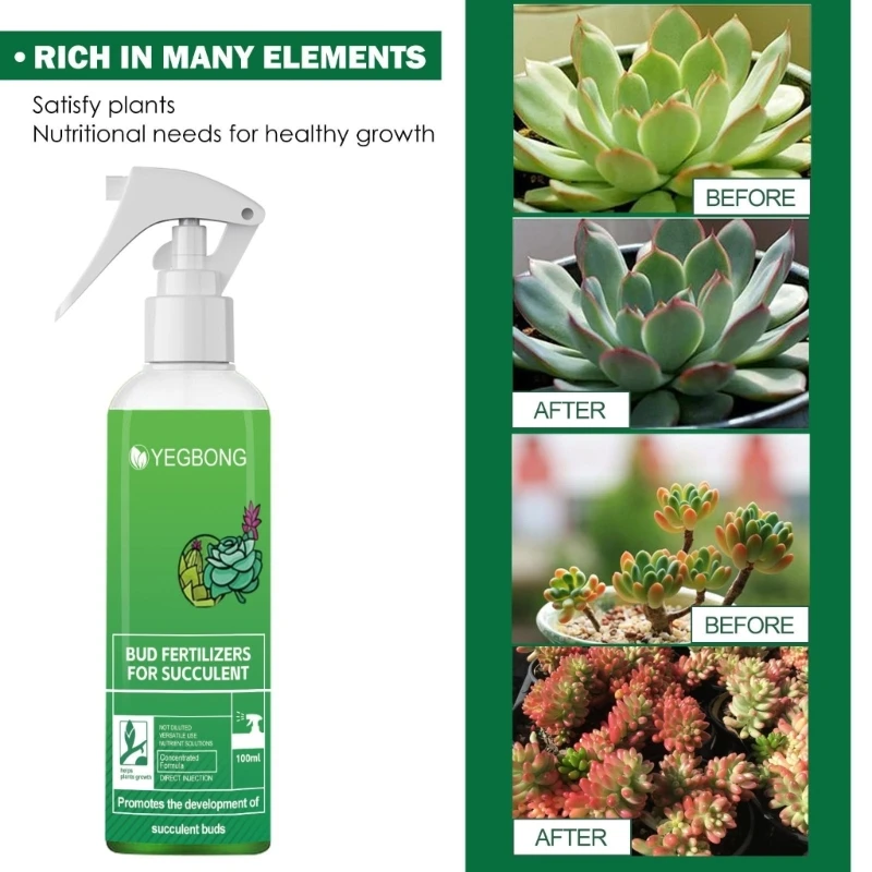 

Суккулентное растение, листовое удобрение, откорм, окраска, способствующая росту ростков, лопающиеся бутоны, питательный 100 мл