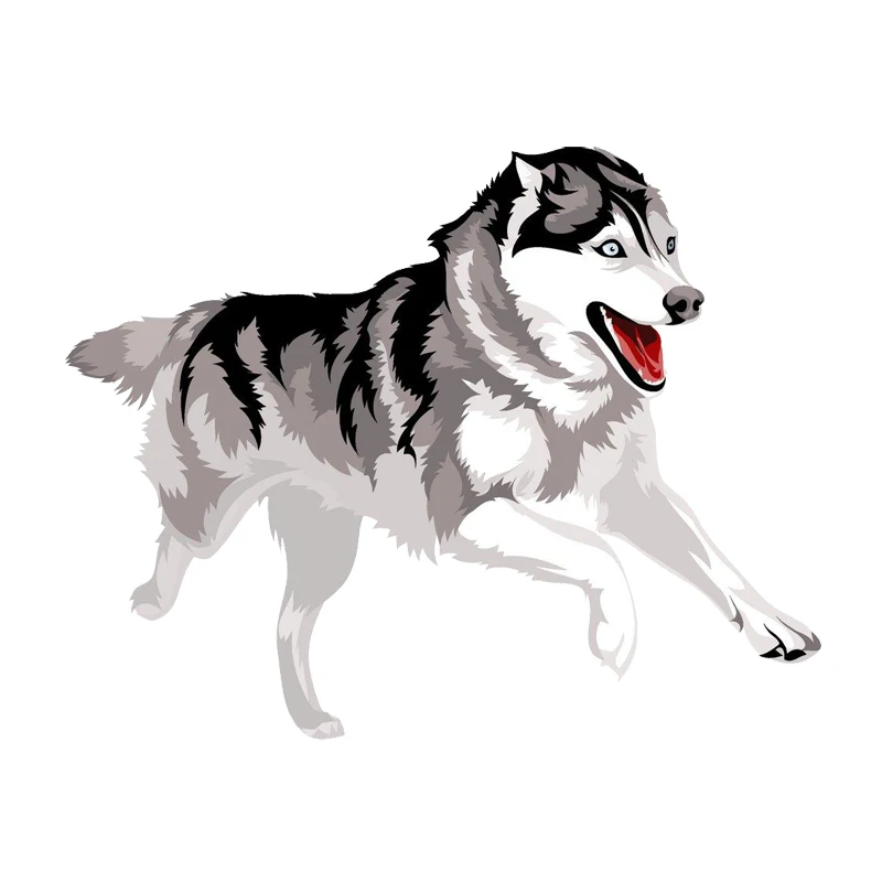 Waterproof Decal 16*13cm