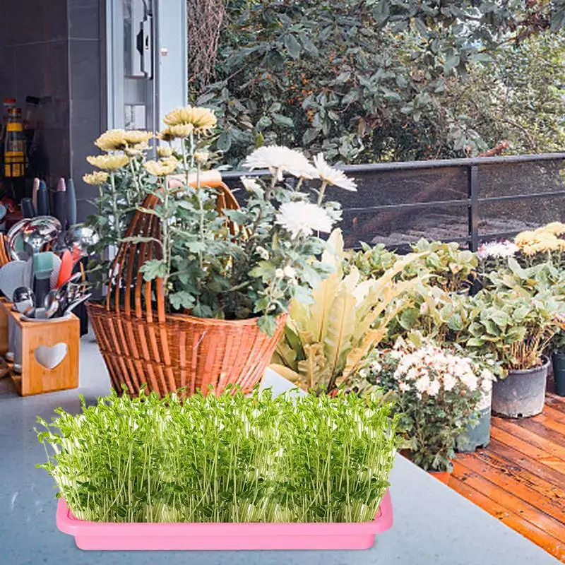 Лоток для проростков рассады усовершенствованная гидропонная технология лоток