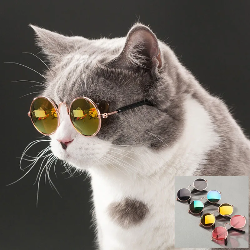 

Kawaii Cat Glasses Cat Toy Dog Cat Kitten Toys Sunglasses Kitten Toys Pet Photos Props Accessories Pet Supplies Pet Products