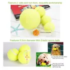 Теннисные мячи для собак, 5 см, игрушка для жевания