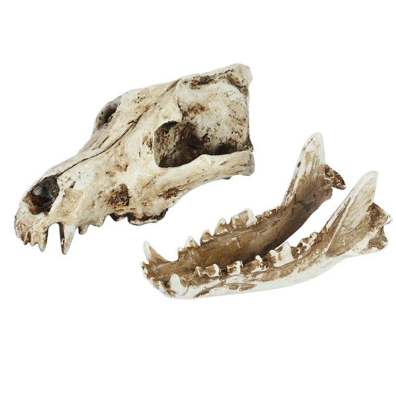 Креативная копия каучукового черепа Реплика учительской модели скелета