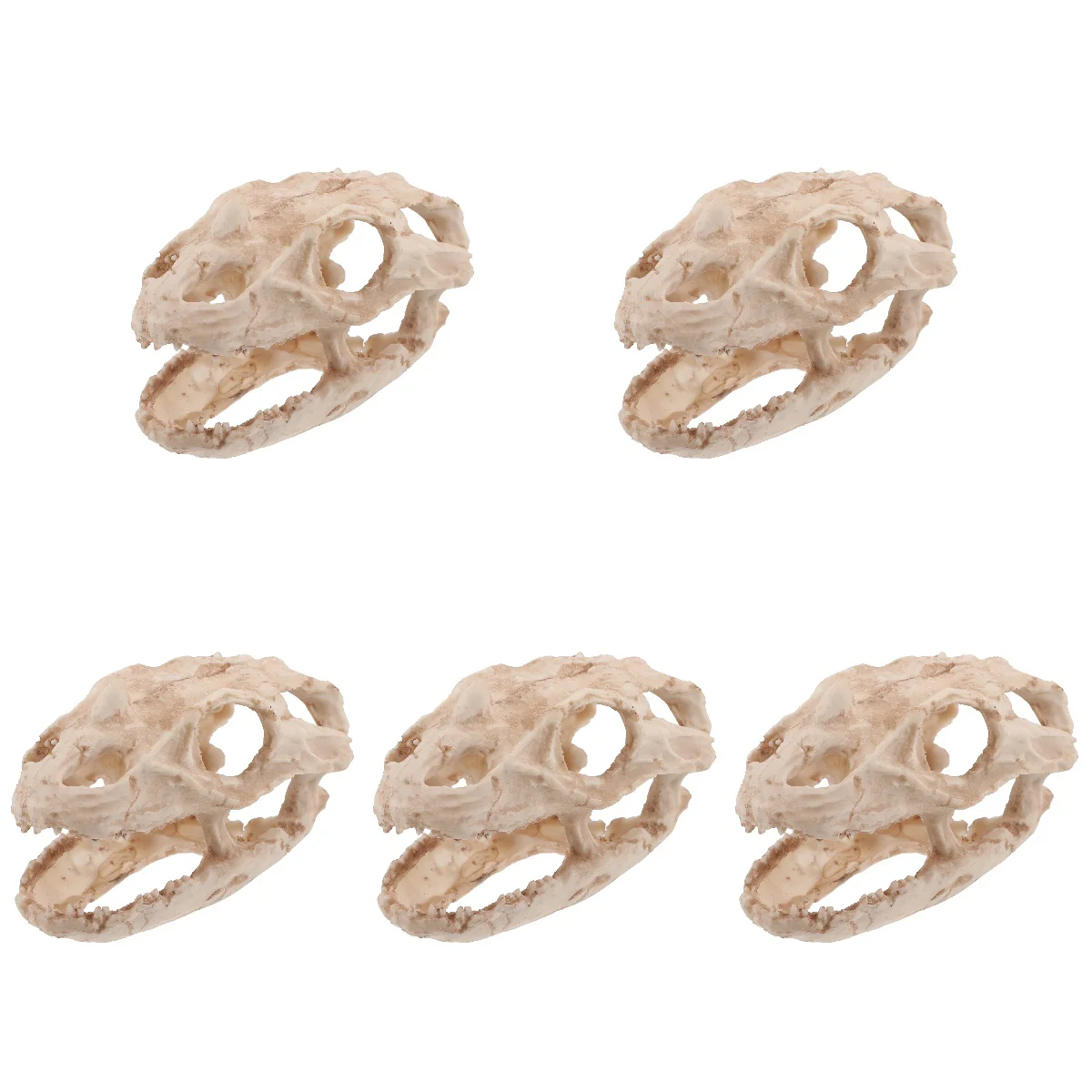 

5pcs Tank Decoration Hideout Ornament Aquarium Shrimp Hiding Place Decor