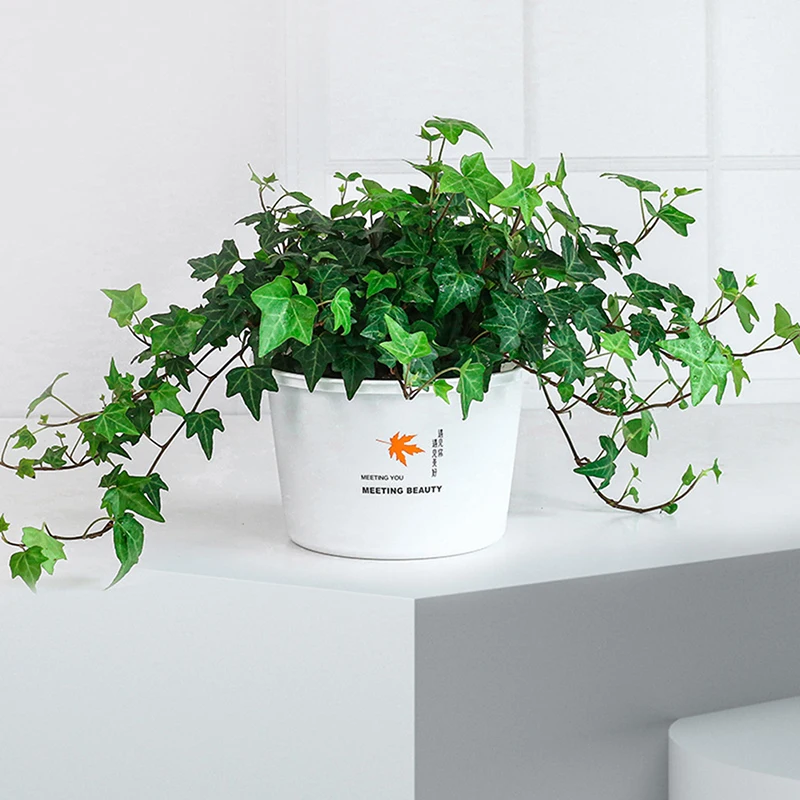 

Многофункциональный пластиковый цветочный горшок, цветочный горшок с зеленым узором, контейнер для офиса, дома, отеля, растений, садовые ак...