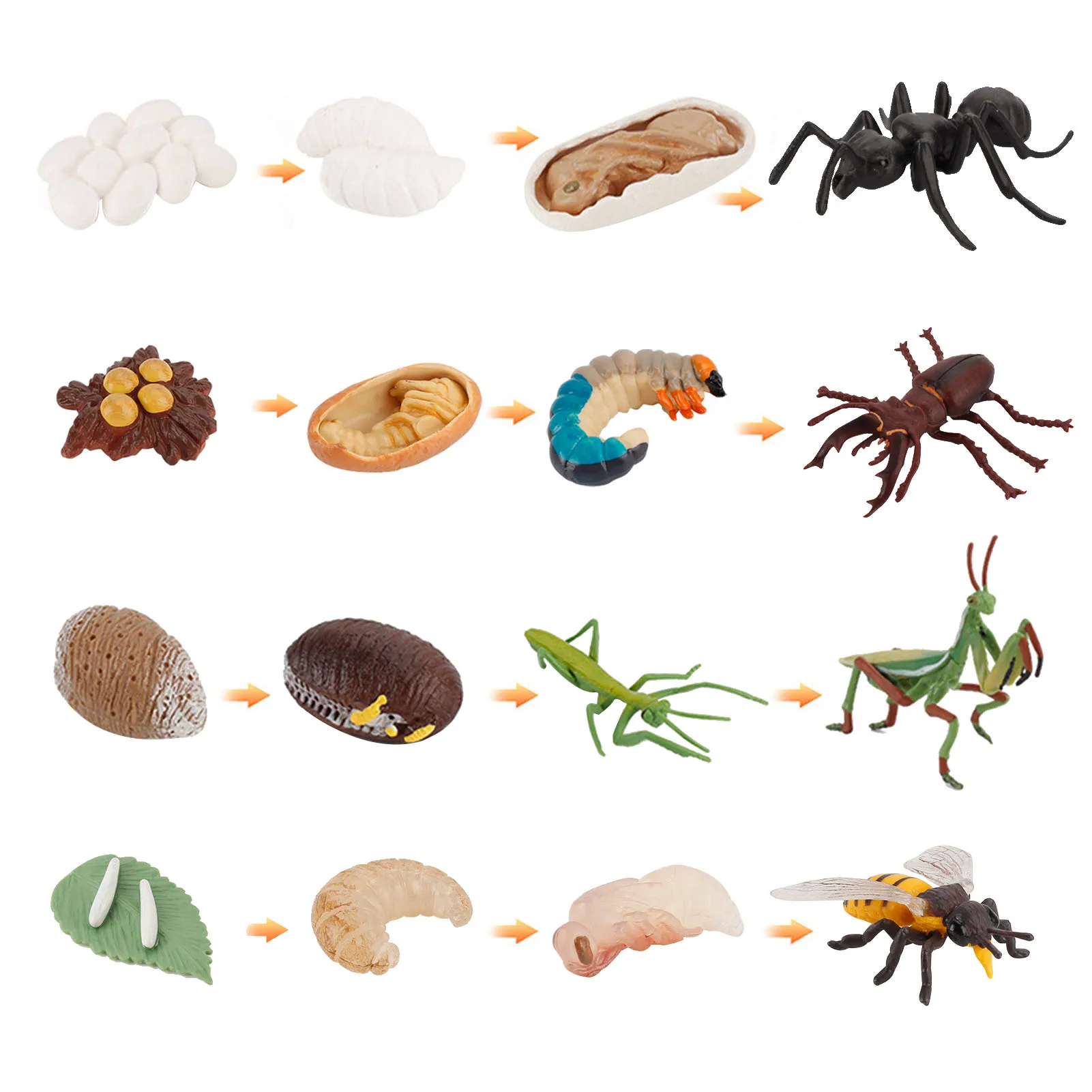 

16pcs Simulation Growth Stage Safariology School Project Stagworm Bee Mantis Ant Insect Figurines PVC Life Cycle Figures Toy Kit