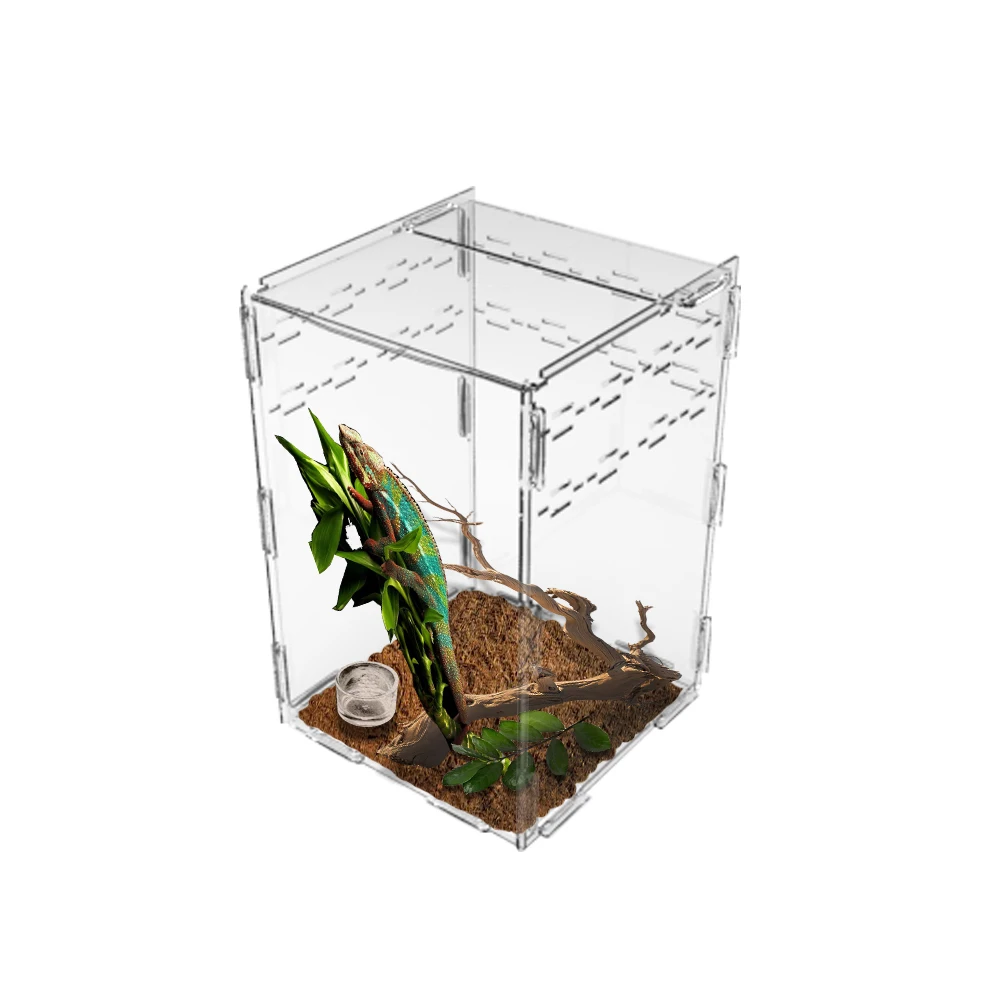 

Acrylic Reptile Cage Breeding Box Spider Lizard Scorpion Centipede Horned Frog Gecko Beetle Insect Cage (15.5 * 16.5 * 25cm)