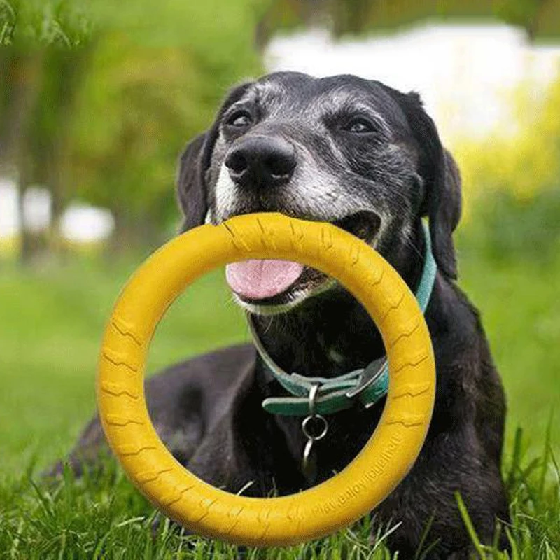 Dog Flying Discs Training Ring Puller EVA Pet Toy Bite-resistant Floating Interactive Toy for Small Medium Large Big Dog Product